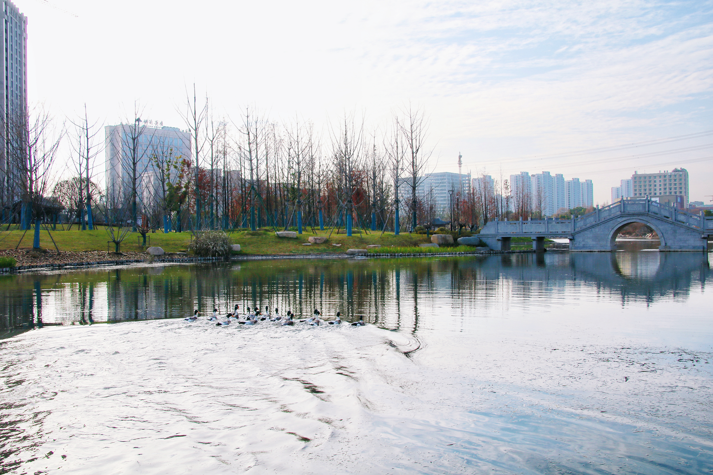 ?杭州北景園生態(tài)公園一期水質(zhì)提升項(xiàng)目